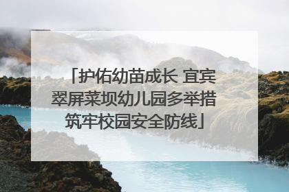 护佑幼苗成长 宜宾翠屏菜坝幼儿园多举措筑牢校园安全防线