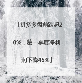 拼多多盘前跌超20%，第一季度净利润下降45%