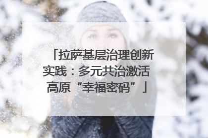 拉萨基层治理创新实践：多元共治激活高原“幸福密码”