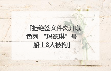 拒绝签文件离开以色列 “玛德琳”号船上8人被拘