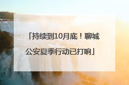 持续到10月底！聊城公安夏季行动已打响