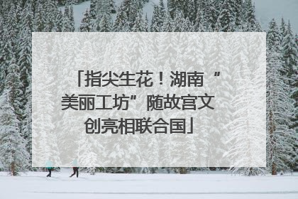 指尖生花！湖南“美丽工坊”随故宫文创亮相联合国