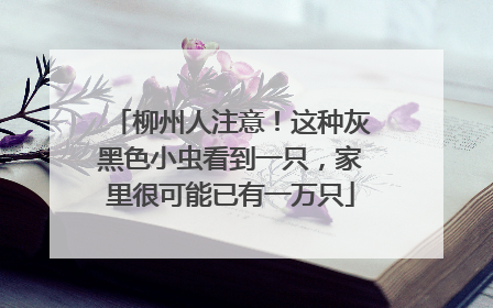 柳州人注意！这种灰黑色小虫看到一只，家里很可能已有一万只
