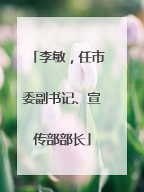 李敏，任市委副书记、宣传部部长