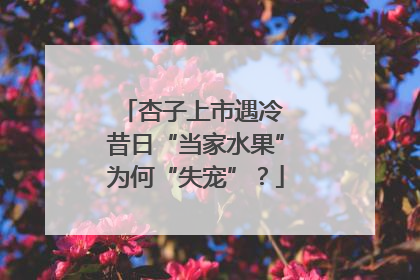 杏子上市遇冷 昔日“当家水果”为何“失宠”？