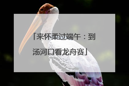 来怀柔过端午：到汤河口看龙舟赛