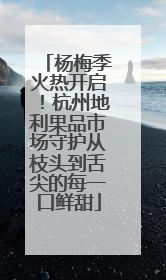 杨梅季火热开启！杭州地利果品市场守护从枝头到舌尖的每一口鲜甜