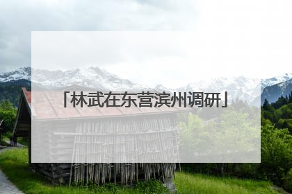 林武在东营滨州调研
