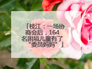 枝江：一场协商会后，164名困境儿童有了“委员妈妈”
