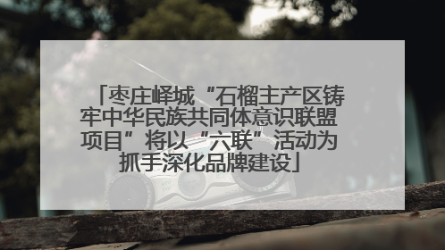 枣庄峄城“石榴主产区铸牢中华民族共同体意识联盟项目”将以“六联”活动为抓手深化品牌建设