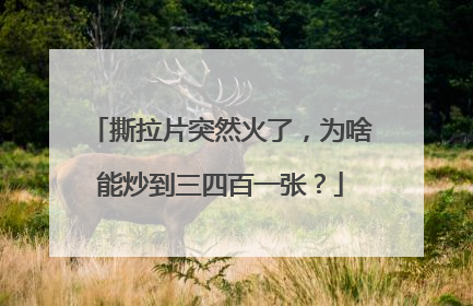 撕拉片突然火了，为啥能炒到三四百一张？