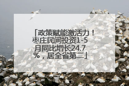 政策赋能激活力！枣庄民间投资1-5月同比增长24.7%，居全省第二