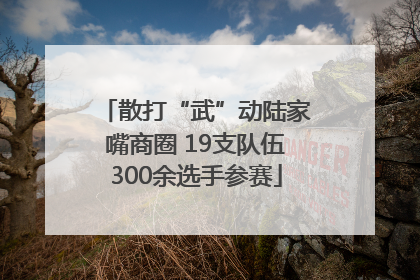 散打“武”动陆家嘴商圈 19支队伍300余选手参赛