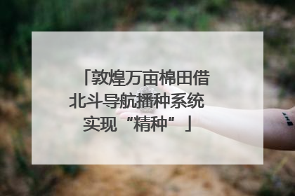 敦煌万亩棉田借北斗导航播种系统实现“精种”