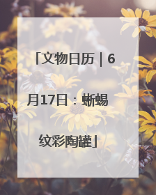 文物日历｜6月17日：蜥蜴纹彩陶罐