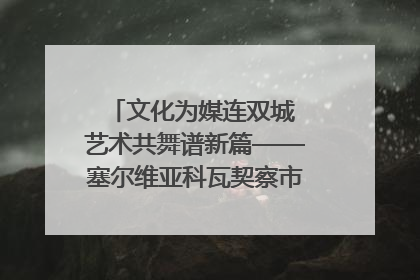 文化为媒连双城 艺术共舞谱新篇——塞尔维亚科瓦契察市代表团访问日照