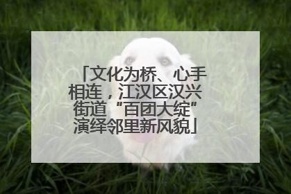 文化为桥、心手相连，江汉区汉兴街道“百团大绽”演绎邻里新风貌