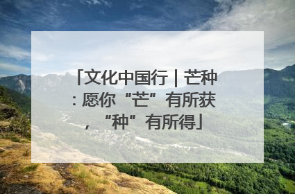 文化中国行｜芒种：愿你“芒”有所获，“种”有所得