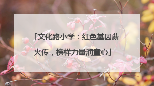 文化路小学：红色基因薪火传，榜样力量润童心