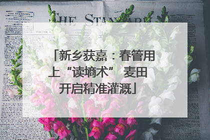 新乡获嘉：春管用上“读墒术” 麦田开启精准灌溉