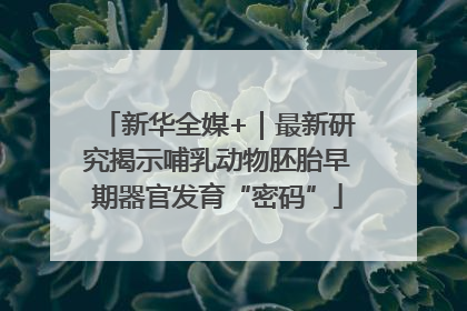 新华全媒+｜最新研究揭示哺乳动物胚胎早期器官发育“密码”