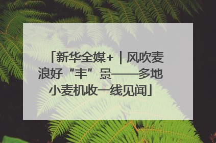 新华全媒+｜风吹麦浪好“丰”景——多地小麦机收一线见闻