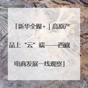 新华全媒+｜高原产品上“云”端——西藏电商发展一线观察