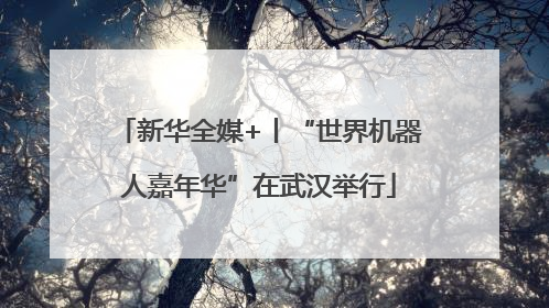 新华全媒+丨“世界机器人嘉年华”在武汉举行