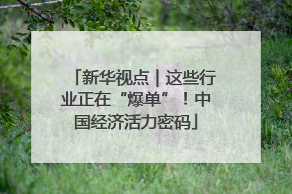 新华视点｜这些行业正在“爆单”！中国经济活力密码