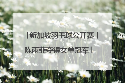 新加坡羽毛球公开赛丨陈雨菲夺得女单冠军