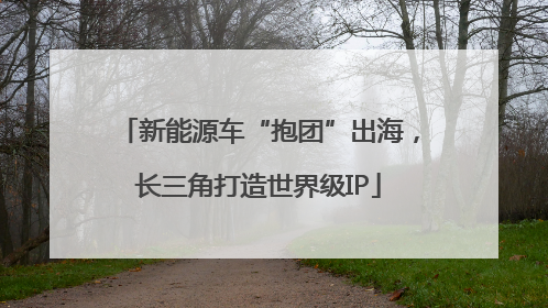新能源车“抱团”出海，长三角打造世界级IP