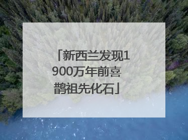 新西兰发现1900万年前喜鹊祖先化石