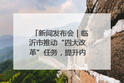 新闻发布会｜临沂市推动“四大改革”任务，提升内部审计监督效能