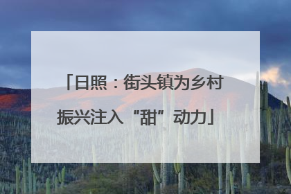 日照：街头镇为乡村振兴注入“甜”动力
