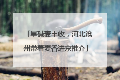 旱碱麦丰收，河北沧州带着麦香进京推介
