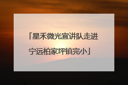 星禾微光宣讲队走进宁远柏家坪镇完小