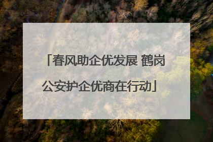 春风助企优发展 鹤岗公安护企优商在行动