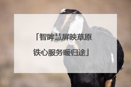 智眸慧屏映草原 铁心服务暖归途