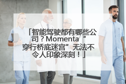 智能驾驶都有哪些公司？Momenta“穿行桥底迷宫”无法不令人印象深刻！