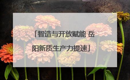 智造与开放赋能 岳阳新质生产力提速