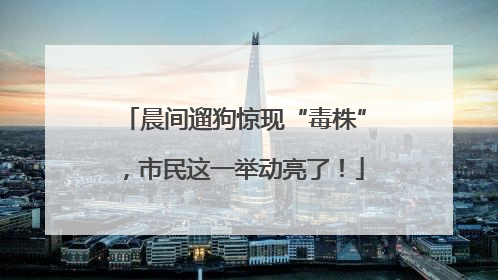 晨间遛狗惊现“毒株”，市民这一举动亮了！