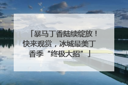 暴马丁香陆续绽放！快来观赏，冰城最美丁香季“终极大招”
