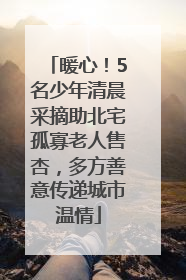 暖心！5名少年清晨采摘助北宅孤寡老人售杏，多方善意传递城市温情