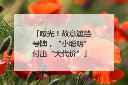 曝光！故意遮挡号牌，“小聪明”付出“大代价”