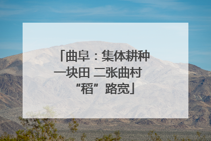曲阜：集体耕种一块田 二张曲村“稻”路宽