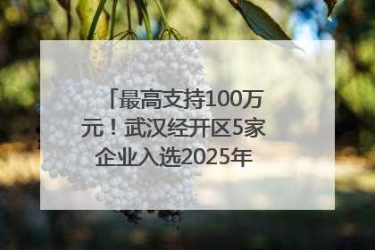 最高支持100万元！武汉经开区5家企业入选2025年度武汉市重点研发计划拟立项项目名单