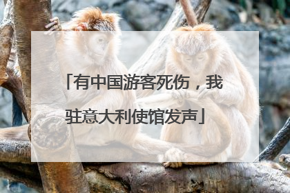 有中国游客死伤，我驻意大利使馆发声