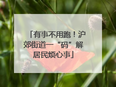 有事不用跑！沪郊街道一“码”解居民烦心事