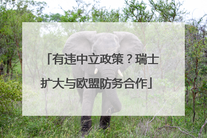 有违中立政策？瑞士扩大与欧盟防务合作