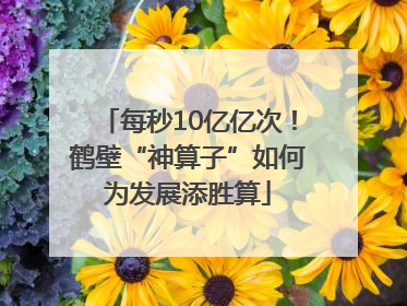 每秒10亿亿次！鹤壁“神算子”如何为发展添胜算